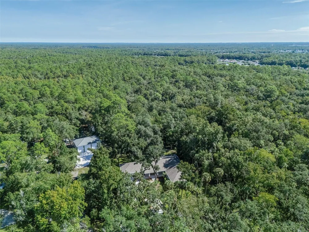 24201 OAKS BOULEVARD Land O Lakes, FL 34639