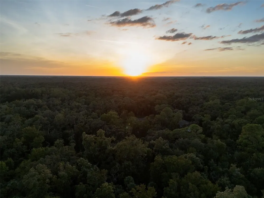 24201 OAKS BOULEVARD Land O Lakes, FL 34639