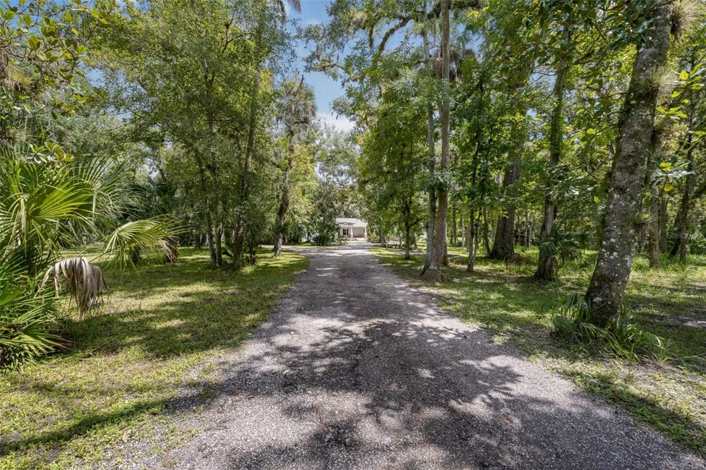 24201 OAKS BOULEVARD Land O Lakes, FL 34639