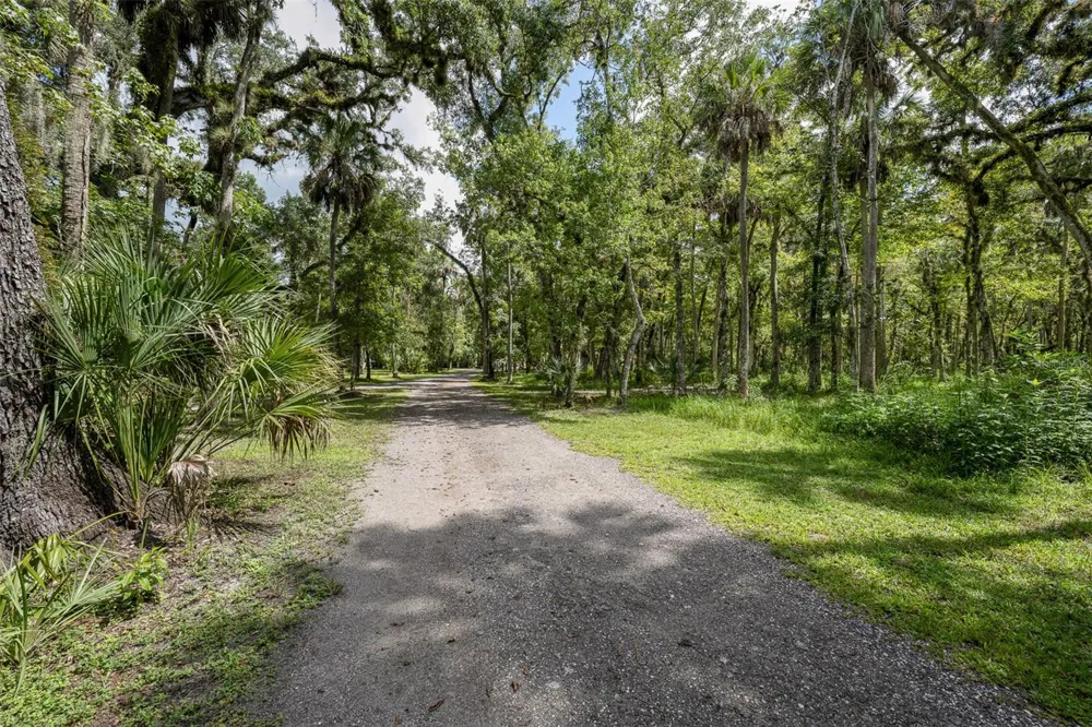 24201 OAKS BOULEVARD Land O Lakes, FL 34639