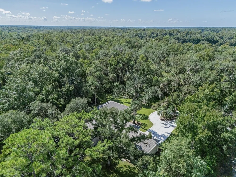 24201 OAKS BOULEVARD Land O Lakes, FL 34639