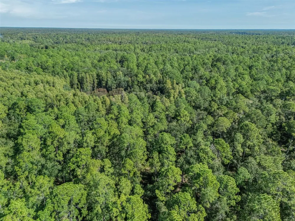 24201 OAKS BOULEVARD Land O Lakes, FL 34639