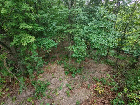 12998 Bowen Lake Drive