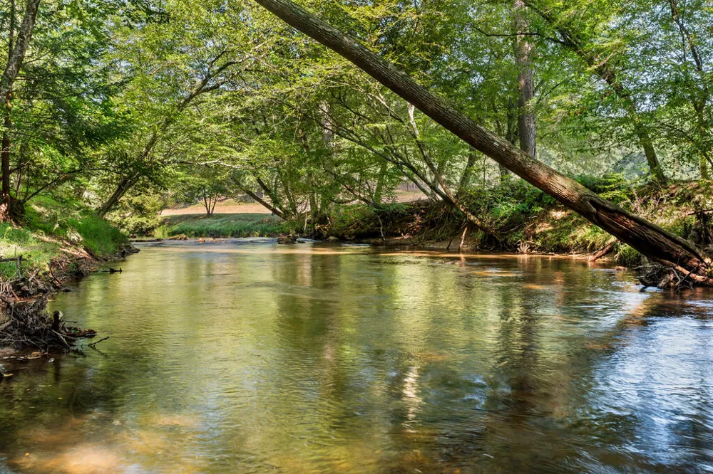 284 Major Ridge Road Blue Ridge, GA 30513