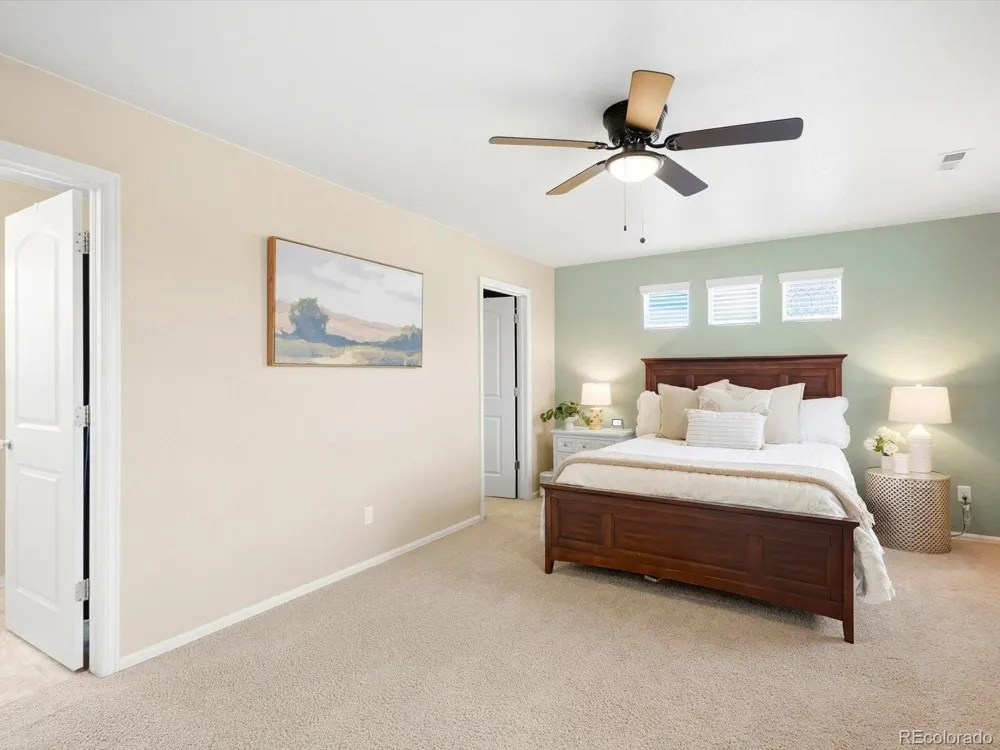 1564 Harpendon Court Windsor, CO 80550