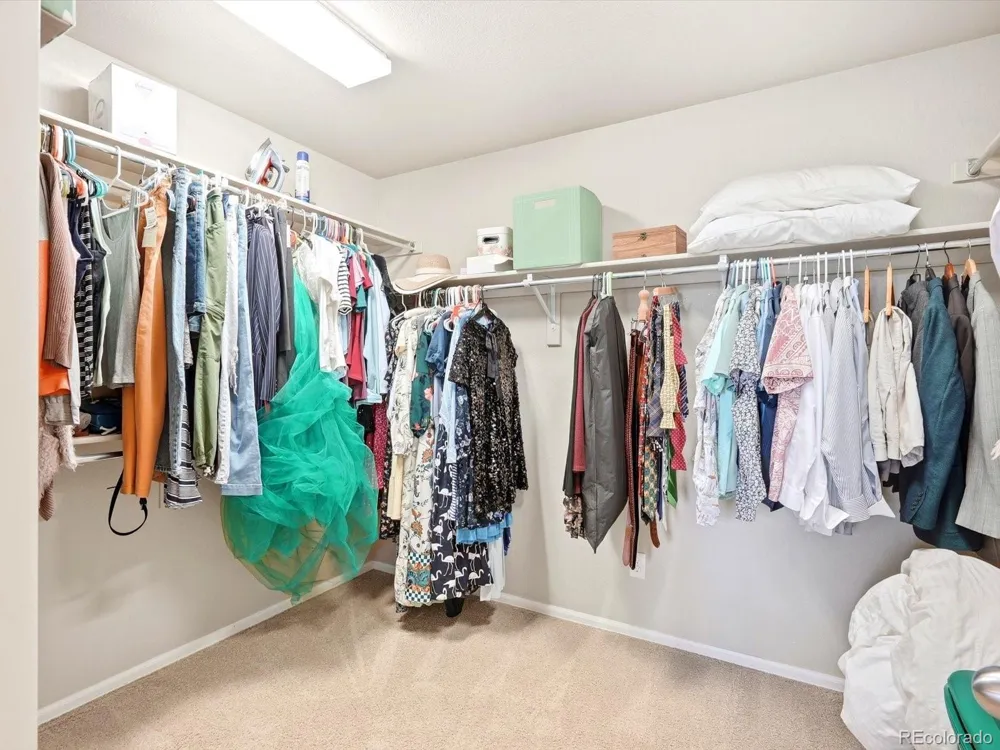 1564 Harpendon Court Windsor, CO 80550