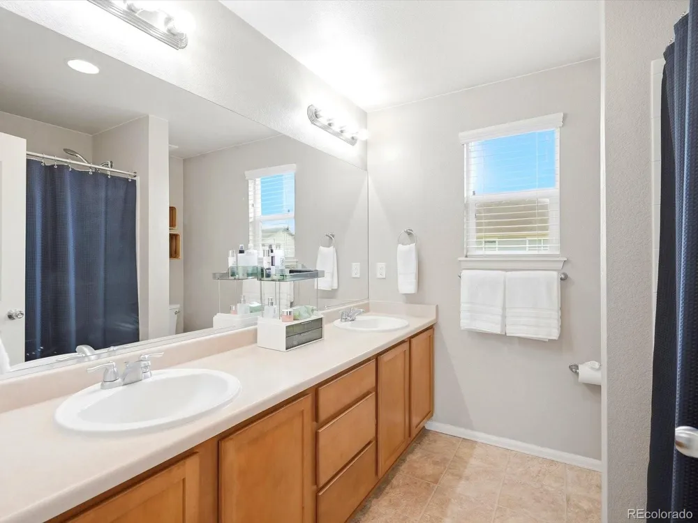 1564 Harpendon Court Windsor, CO 80550