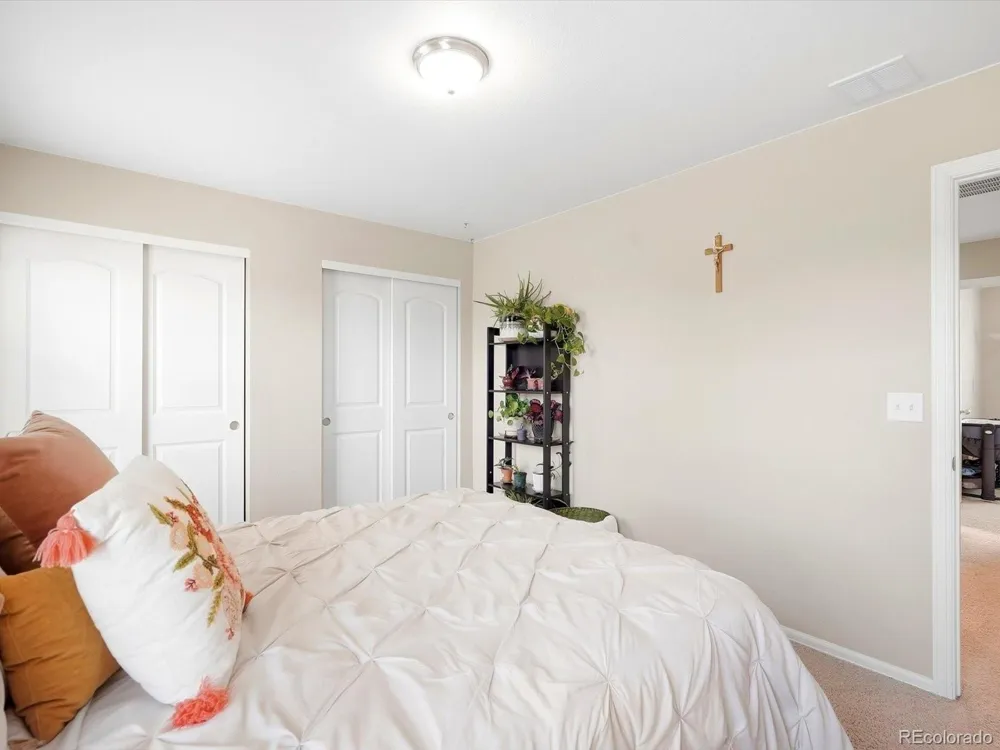 1564 Harpendon Court Windsor, CO 80550