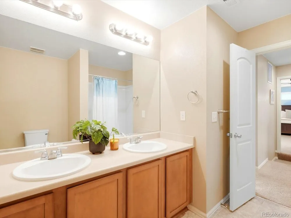 1564 Harpendon Court Windsor, CO 80550