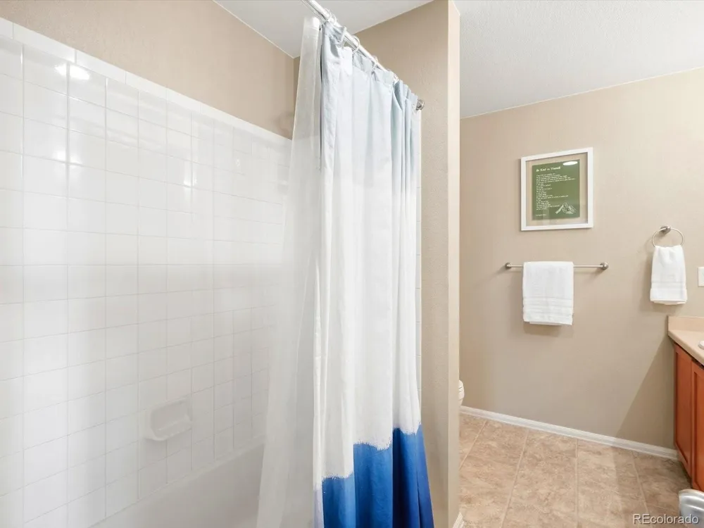 1564 Harpendon Court Windsor, CO 80550