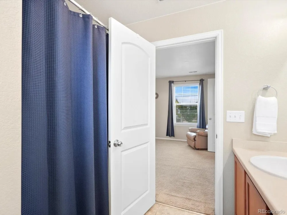 1564 Harpendon Court Windsor, CO 80550