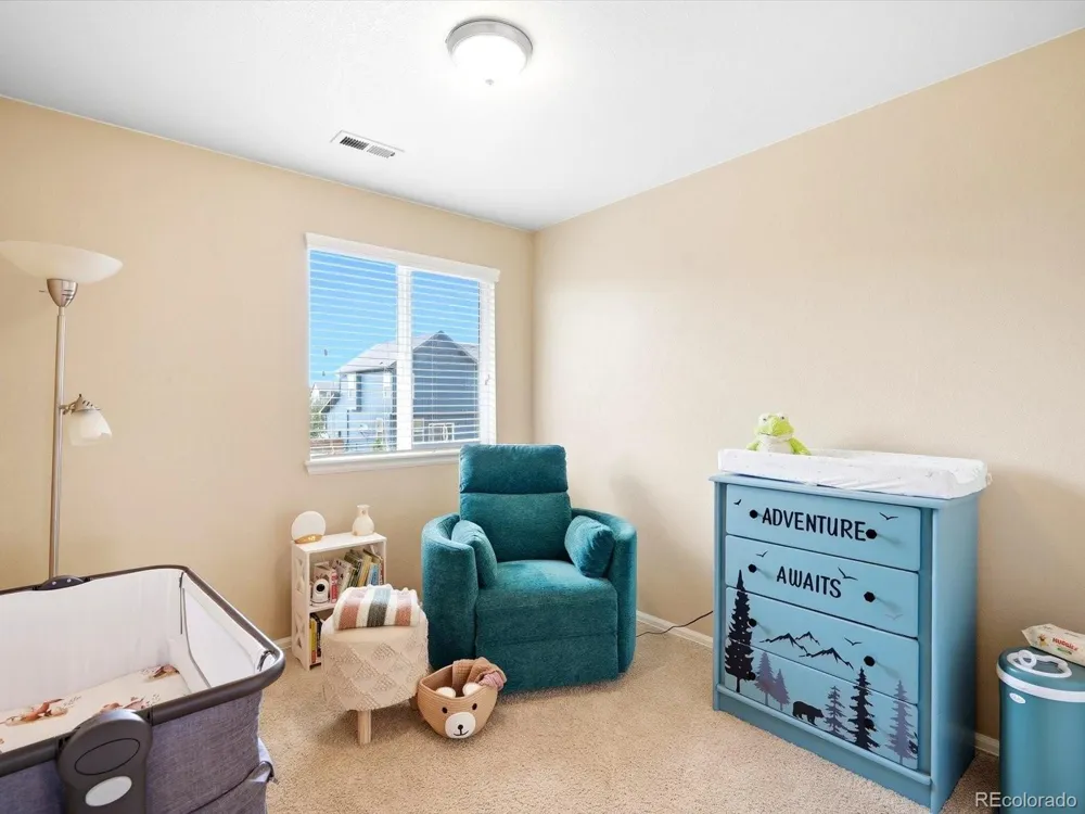 1564 Harpendon Court Windsor, CO 80550