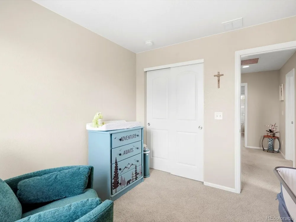 1564 Harpendon Court Windsor, CO 80550