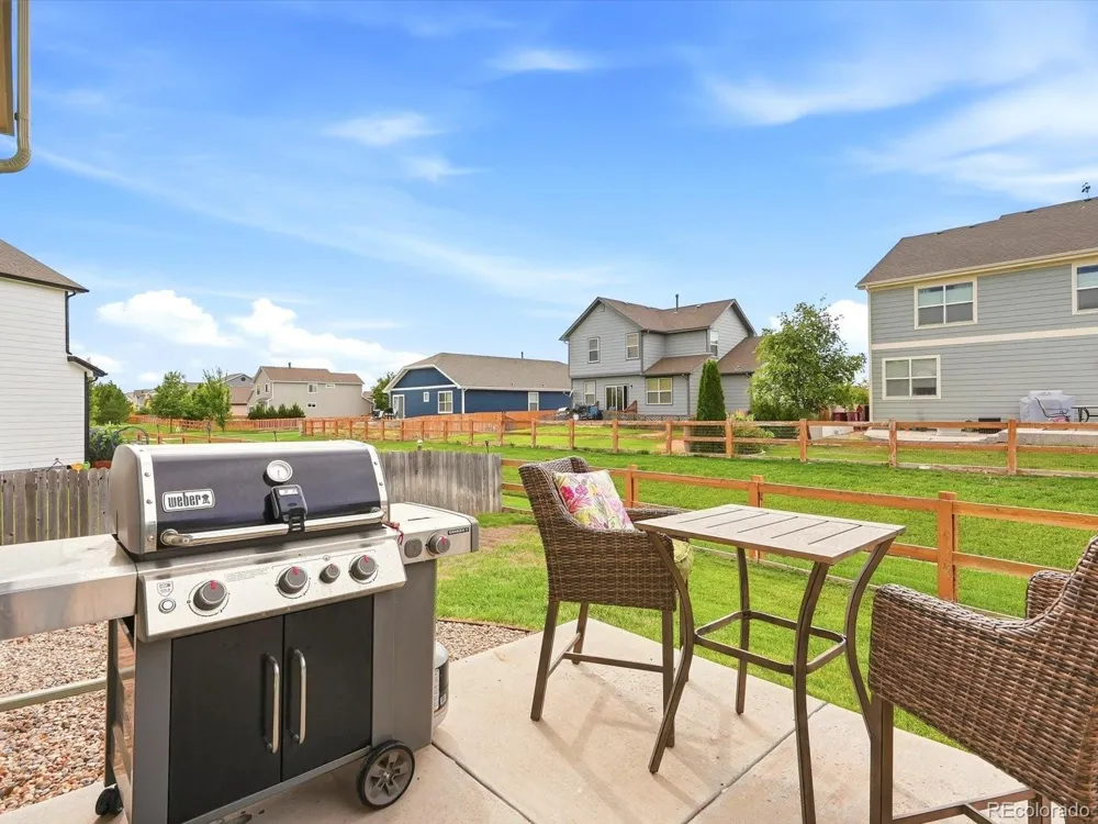 1564 Harpendon Court Windsor, CO 80550