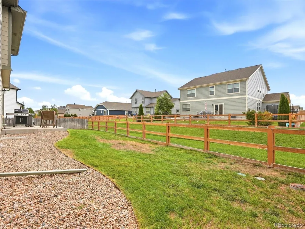 1564 Harpendon Court Windsor, CO 80550