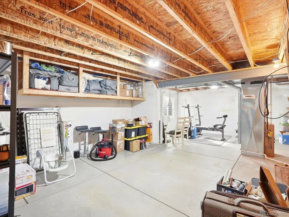 1564 Harpendon Court Windsor, CO 80550