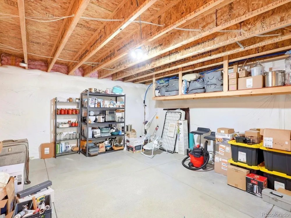 1564 Harpendon Court Windsor, CO 80550