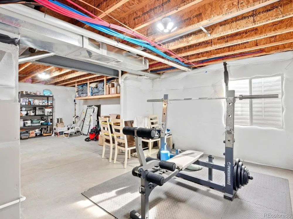 1564 Harpendon Court Windsor, CO 80550