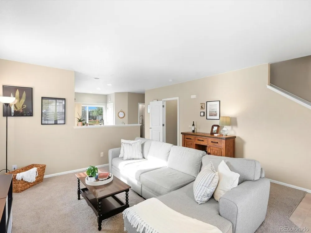 1564 Harpendon Court Windsor, CO 80550