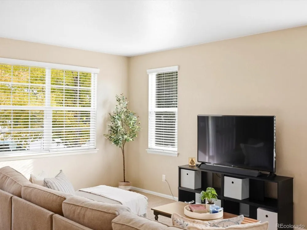1564 Harpendon Court Windsor, CO 80550