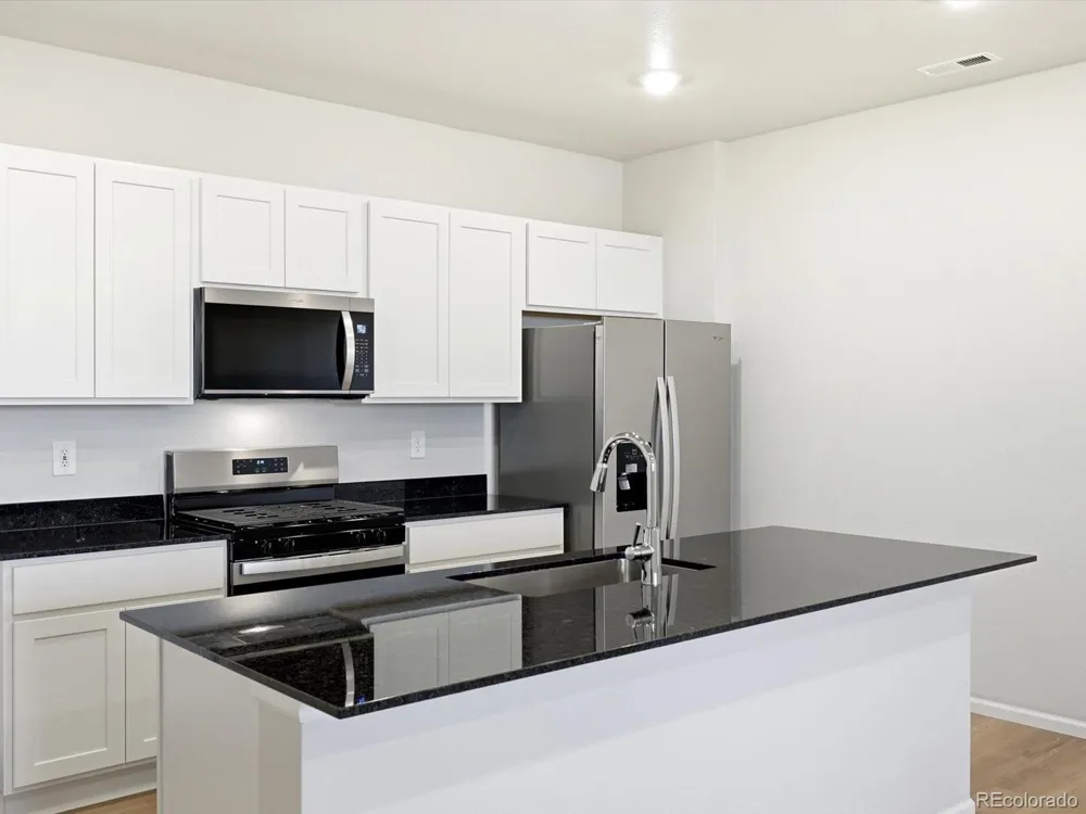 1596 Riverplace Drive #2 Windsor, CO 80550