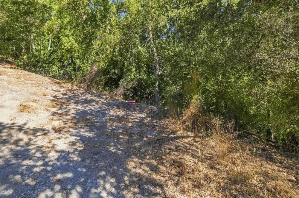 Zayante Felton, CA 95018