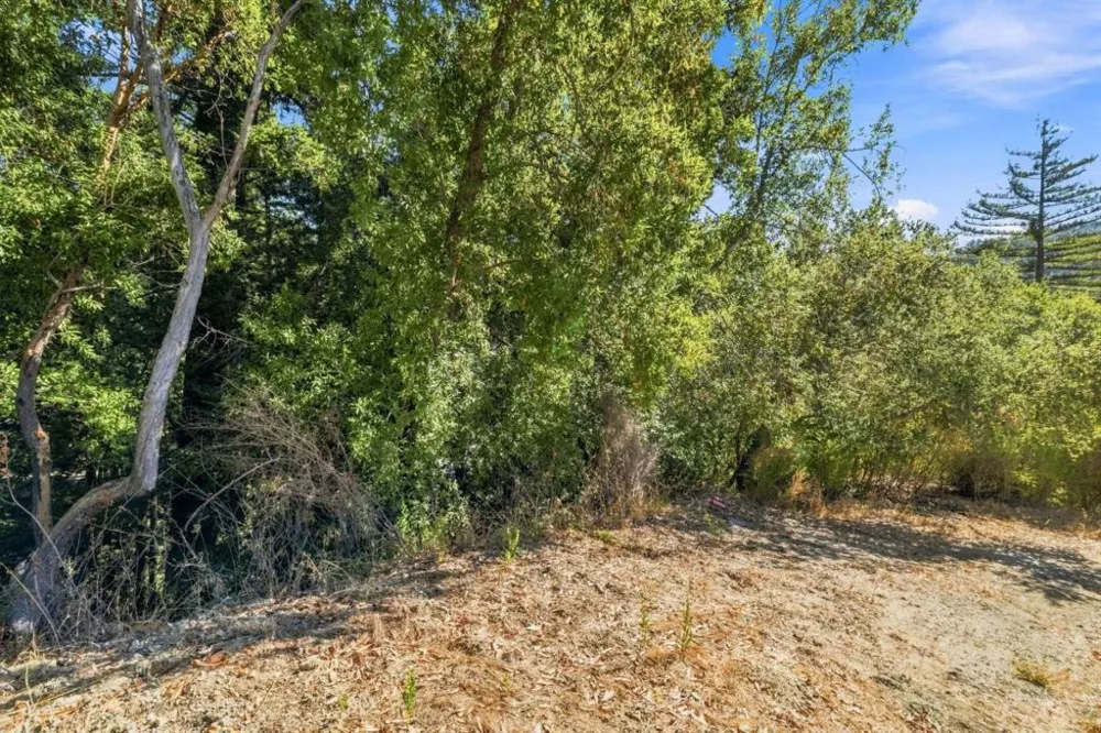 Zayante Felton, CA 95018