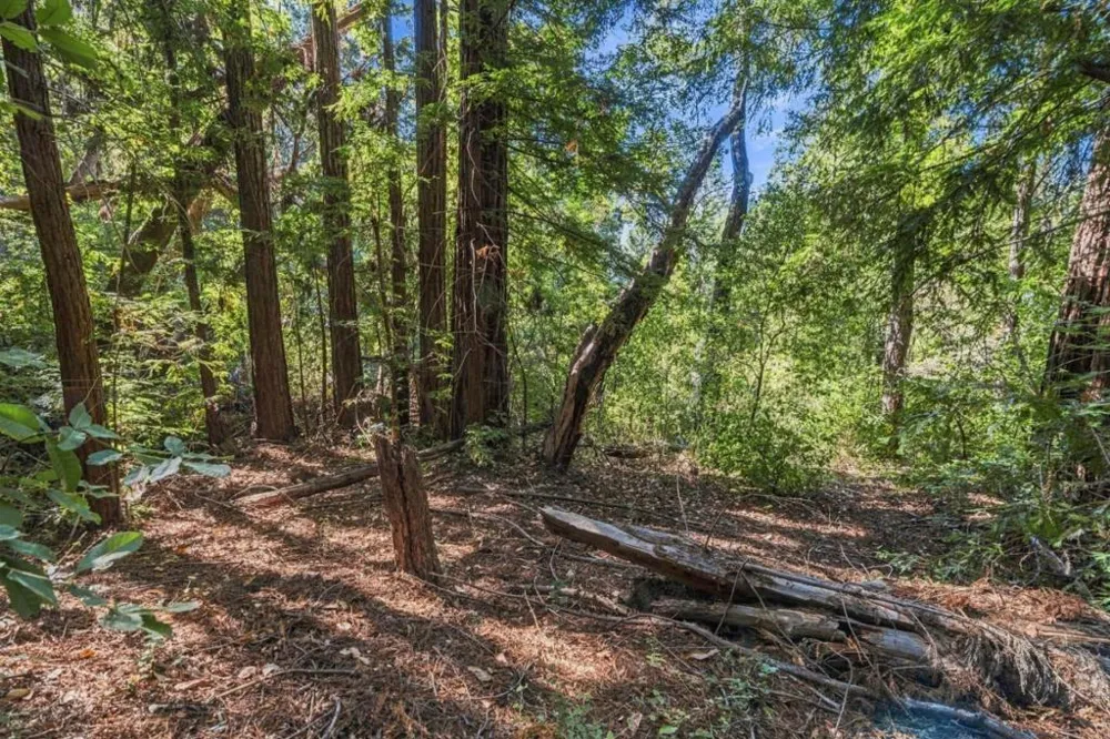 1150 Blue Ridge Drive Boulder Creek, CA 95006