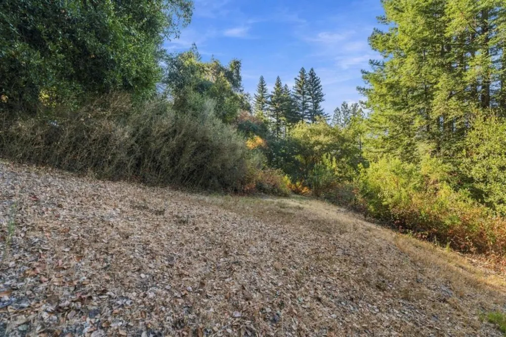 1150 Blue Ridge Drive Boulder Creek, CA 95006