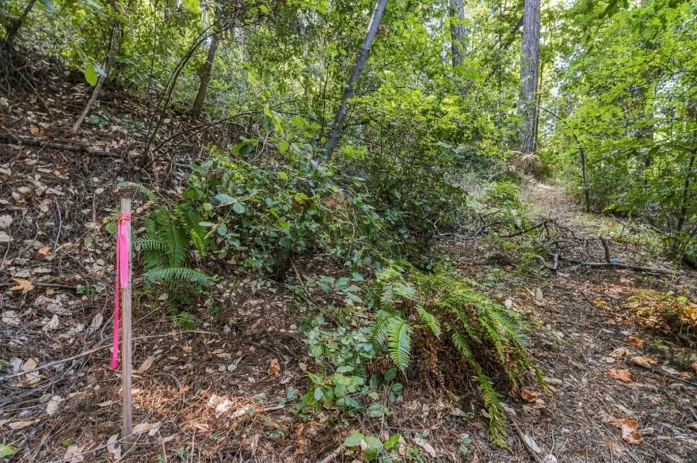 1150 Blue Ridge Drive Boulder Creek, CA 95006