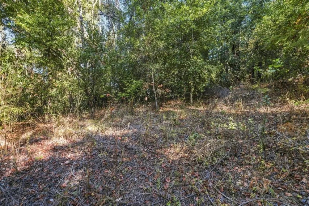 1150 Blue Ridge Drive Boulder Creek, CA 95006