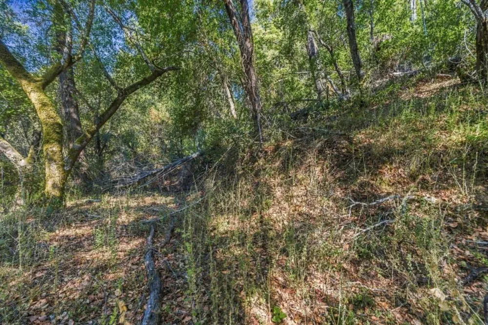 1150 Blue Ridge Drive Boulder Creek, CA 95006