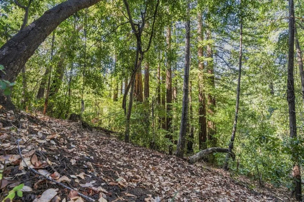 1150 Blue Ridge Drive Boulder Creek, CA 95006