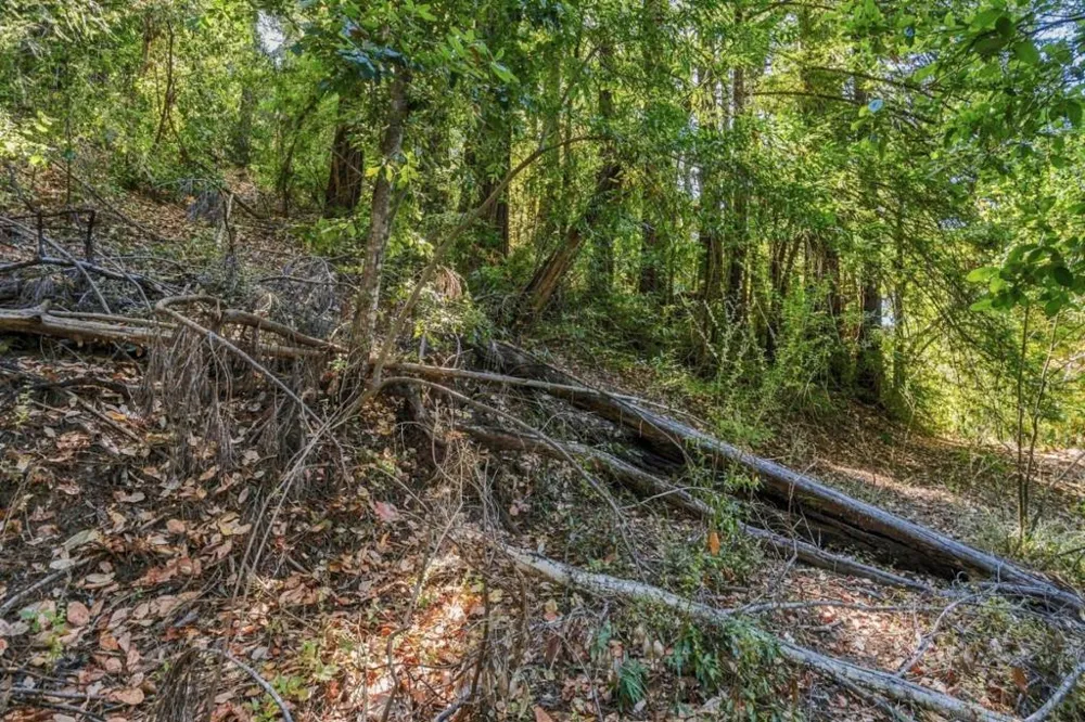 1150 Blue Ridge Drive Boulder Creek, CA 95006