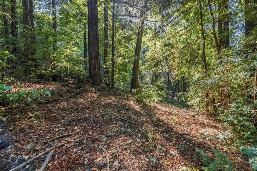 1150 Blue Ridge Drive Boulder Creek, CA 95006