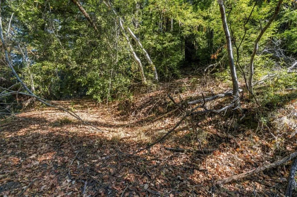 1150 Blue Ridge Drive Boulder Creek, CA 95006