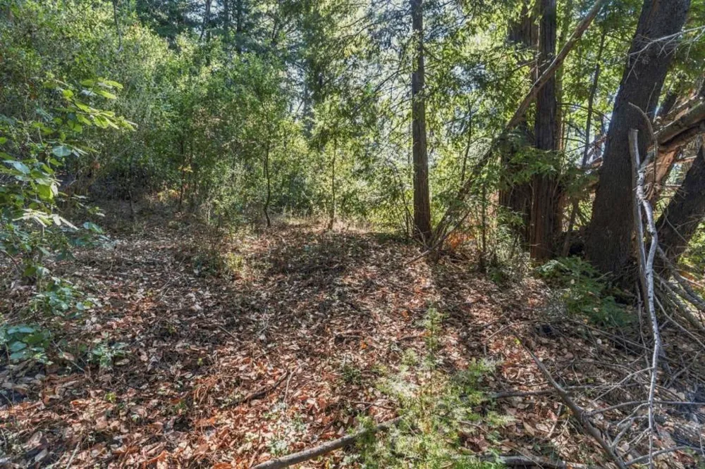 1150 Blue Ridge Drive Boulder Creek, CA 95006