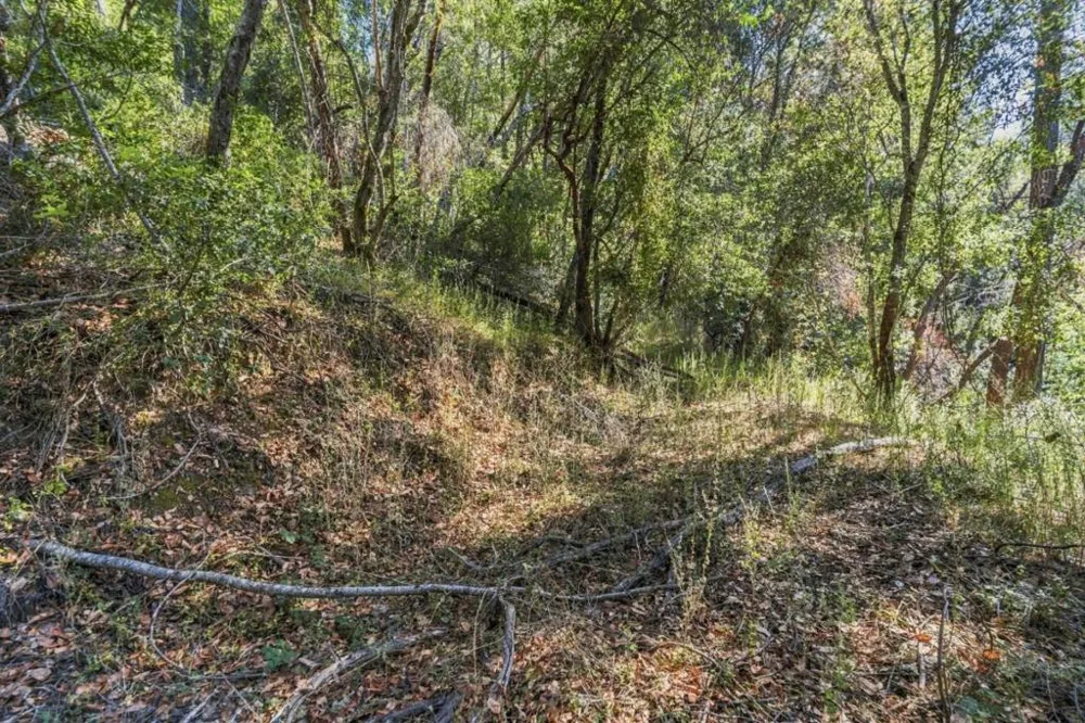 1150 Blue Ridge Drive Boulder Creek, CA 95006