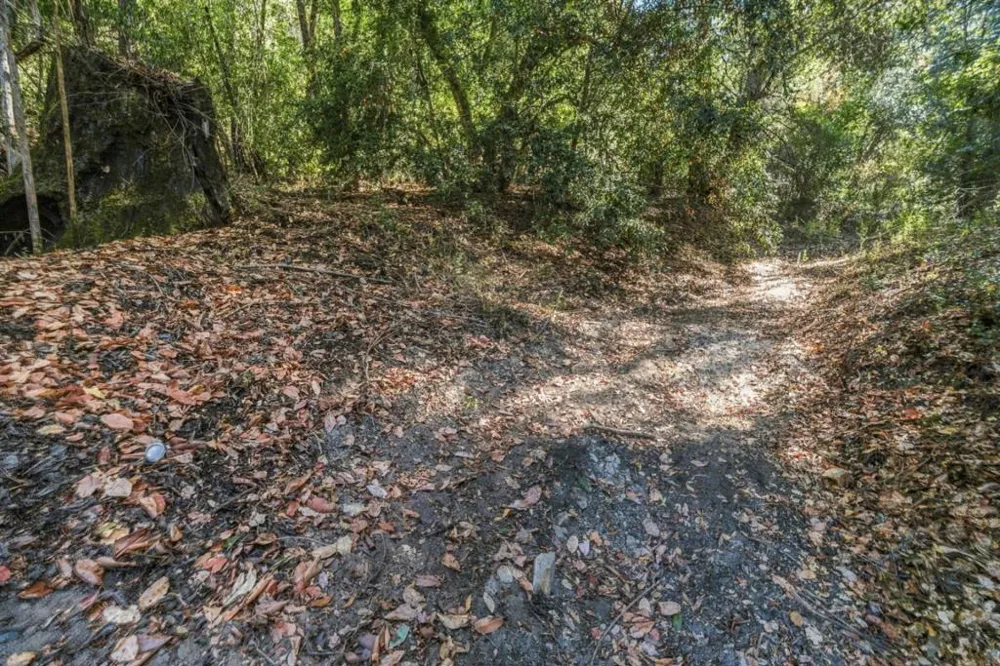 1150 Blue Ridge Drive Boulder Creek, CA 95006