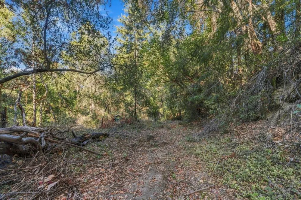 1150 Blue Ridge Drive Boulder Creek, CA 95006