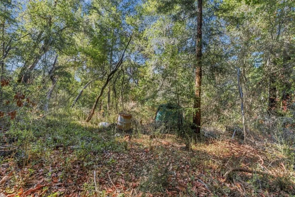 1150 Blue Ridge Drive Boulder Creek, CA 95006