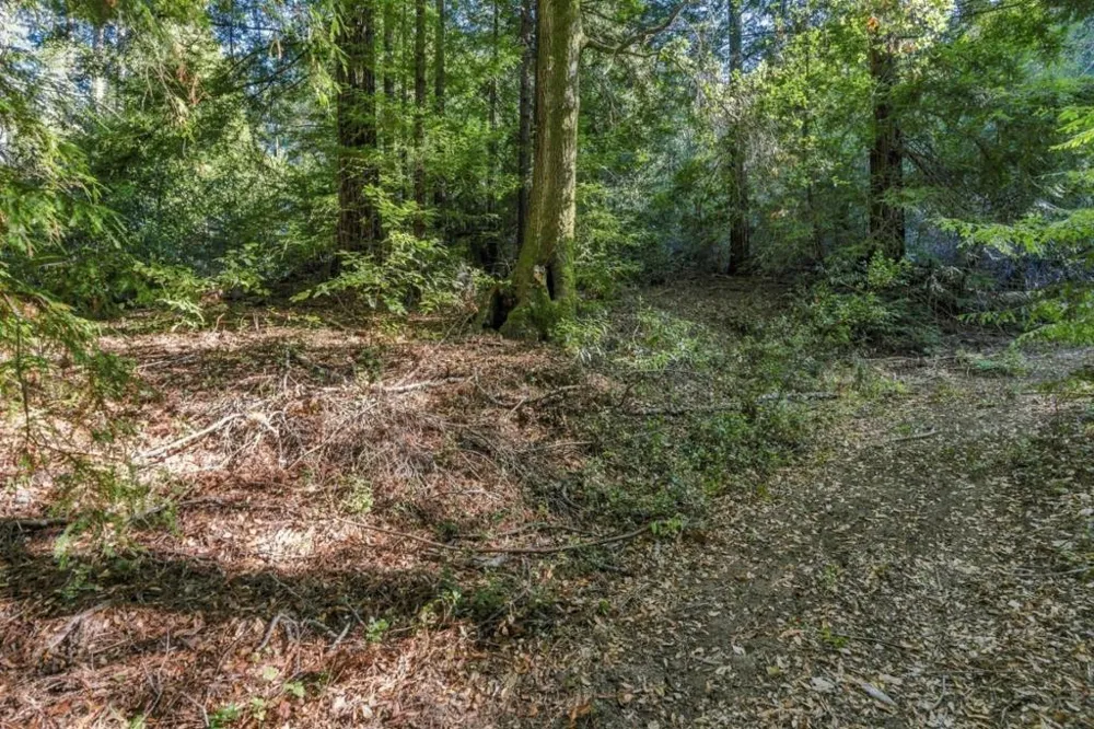 1150 Blue Ridge Drive Boulder Creek, CA 95006