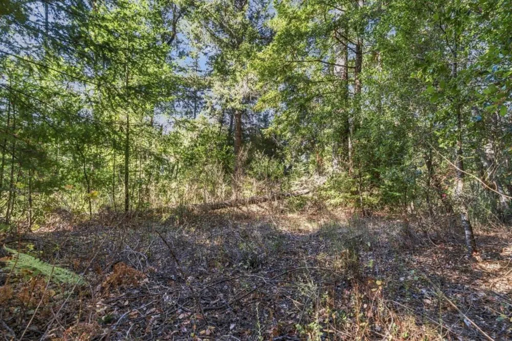 1150 Blue Ridge Drive Boulder Creek, CA 95006