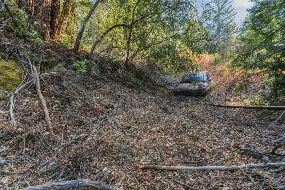 1150 Blue Ridge Drive Boulder Creek, CA 95006