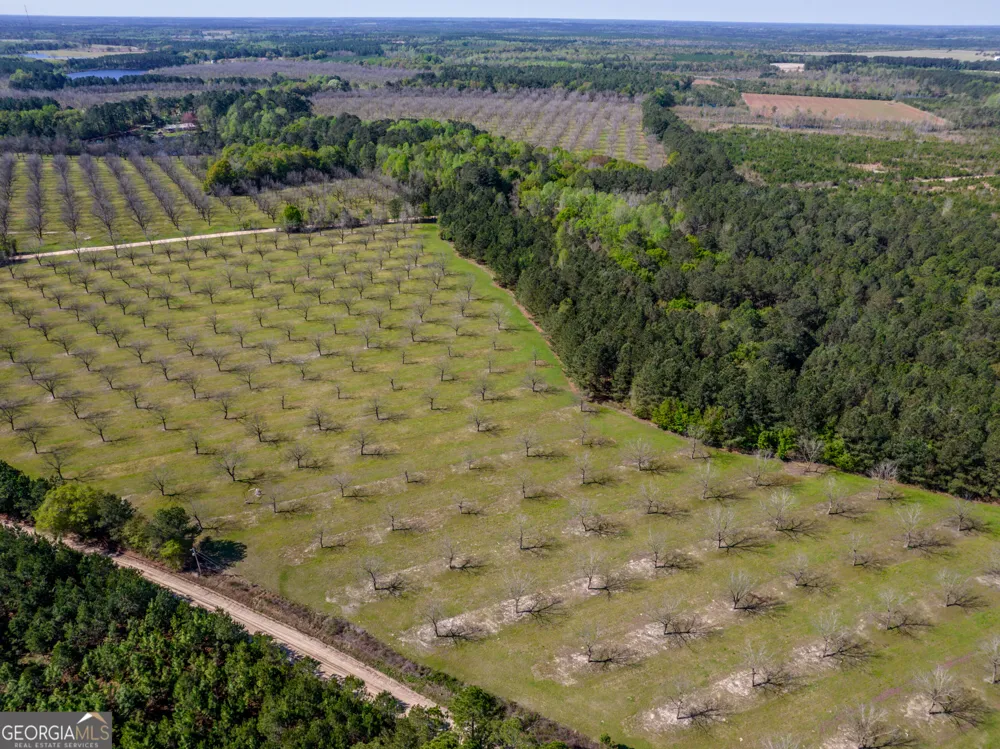 30.91 ACRES Kermit RD Cobbtown, GA 30420