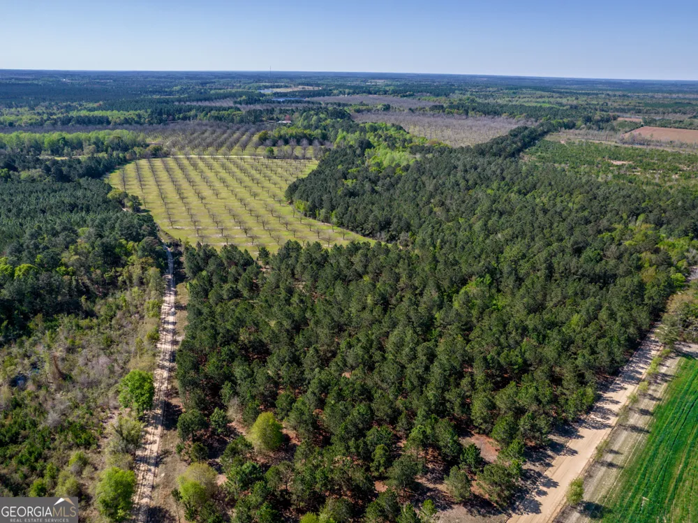 30.91 ACRES Kermit RD Cobbtown, GA 30420