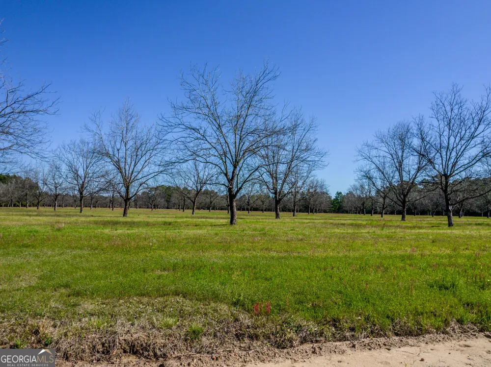 30.91 ACRES Kermit RD Cobbtown, GA 30420