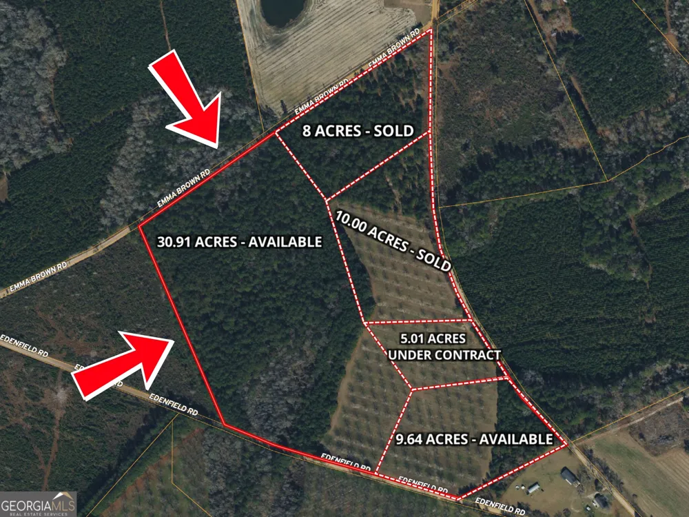 30.91 ACRES Kermit RD Cobbtown, GA 30420