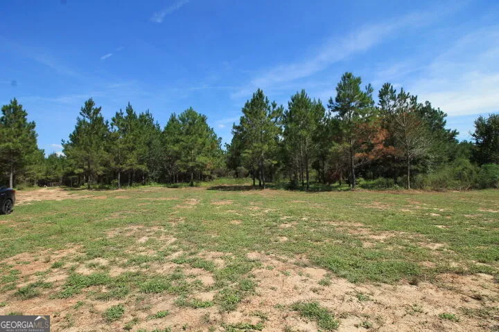 600 Sanderling Alma, GA 31510