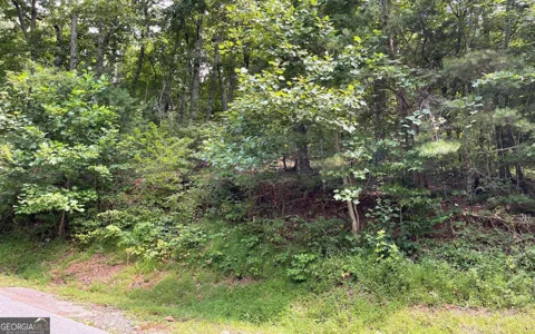 #10 Mountain Drive North